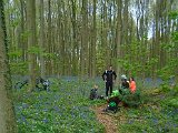 Hyacintenjogging 2016 - 069.jpg